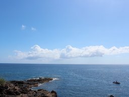 Vis et Lutz : Nos premiers visiteurs !